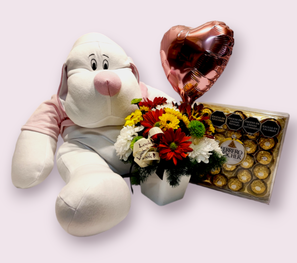 Florero con Globo Rosado, Perro XL y bombones Ferrero