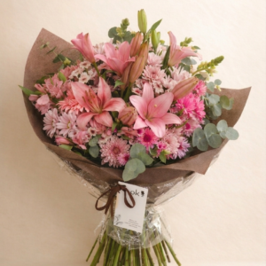Premium Rosse XXL