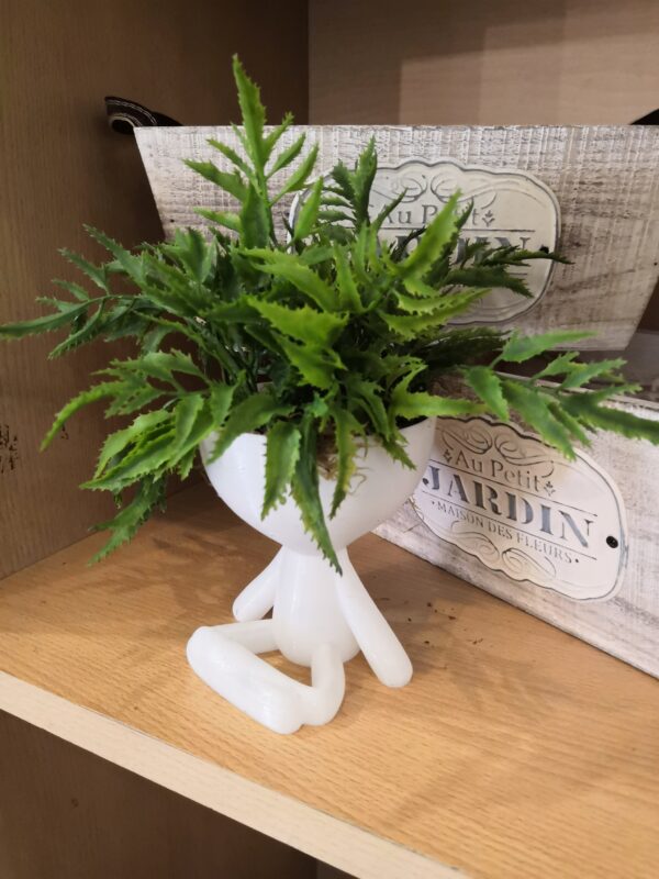 Robert A Con Planta Artificial