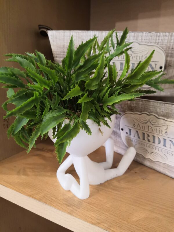 Robert G Con Planta Artificial