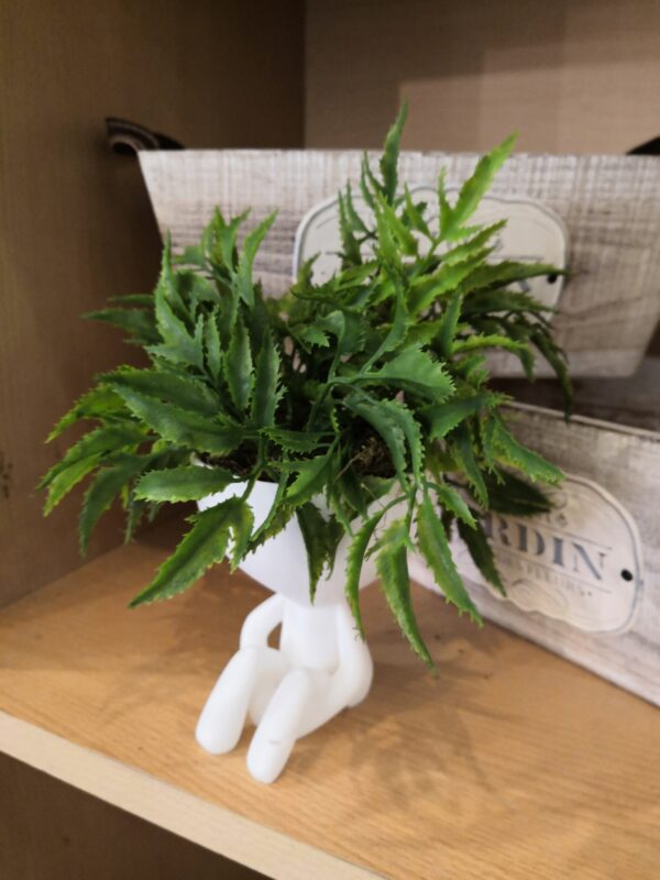 Robert H Con Planta Artificial