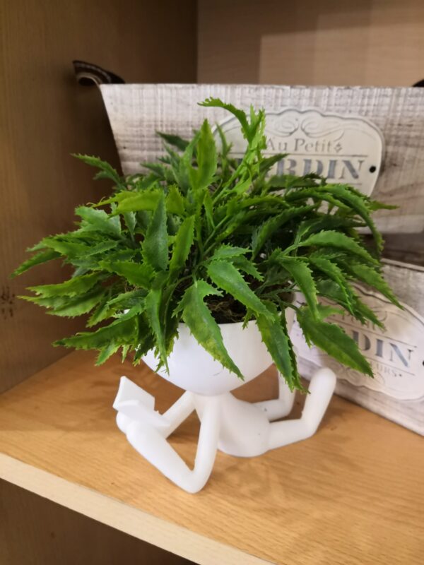 Robert L Con Planta Artificial